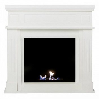 Биокамин классический ZeFire Tetra