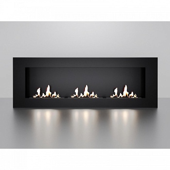 Биокамин встраиваемый W250III PremiumFire