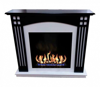 Биокамин ZeFire Норвуд