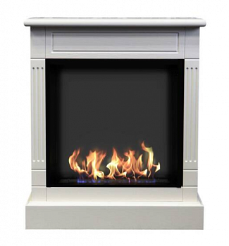 Биокамин ZeFire Клер