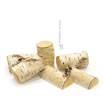 Набор из 5-ти поленцев «Береза»